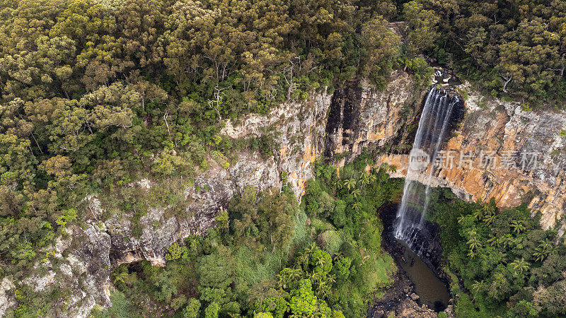 Purlingbrook Falls, Springbrook NP，靠近黄金海岸，澳大利亚